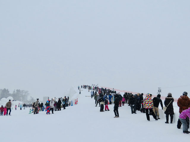 🇯🇵 北海道旭川冬祭 真的好大型好壯觀❄️