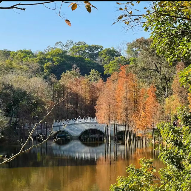 ~頭陂公園~清幽綠洲~ ~頭陂公園~清幽綠洲~