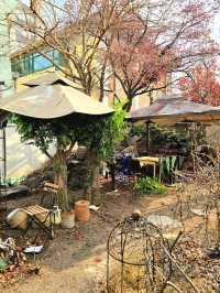 🪵🌳포근한 동화감성의 안국카페 도토리가든