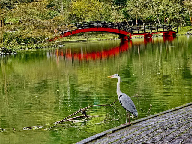 宜蘭景點（梅花湖+羅東林業文化園區+望龍埤）ㄧ日遊