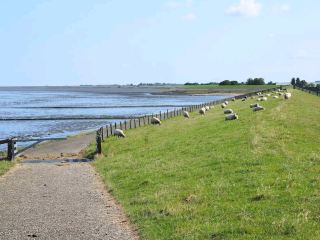 Wadden Sea (UNESCO World Heritage Site)