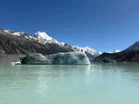 Tasman Glacier & Lake 塔斯曼冰川河健行遊湖