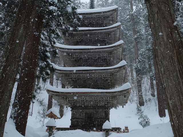 日本東北❄️踏雪尋覓羽黑山五重塔