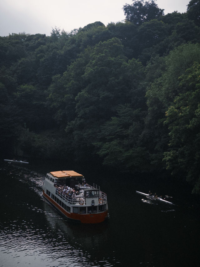 A Magical Day Trip to Durham from Newcastle! 