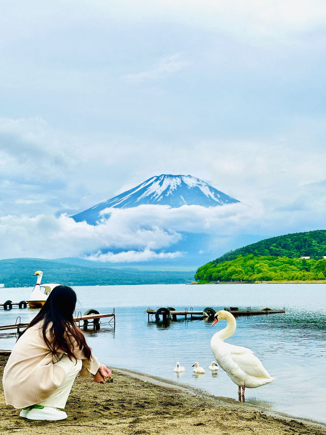 🌟 **富士山之旅：與日本聖山的完美邂逅** 🌟