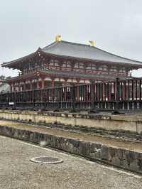 Nara: Japan’s Ancient Capital of Temples, Deer, and Timeless Beauty