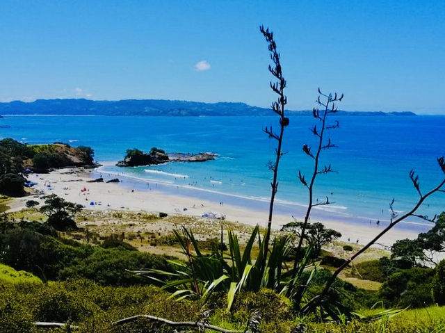 Tawharanui Regional Park: Spring Hiking Paradise