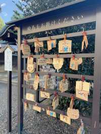 【東京】月替わり・猫御朱印がかわいい神社✨