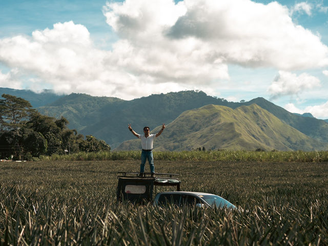 BUKIDNON PARADISE