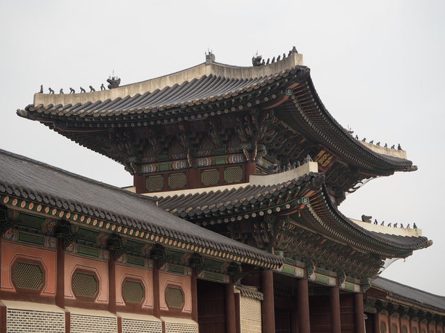 Korea 🇰🇷: Explore Vibrant Seoul & Scenic Busan!