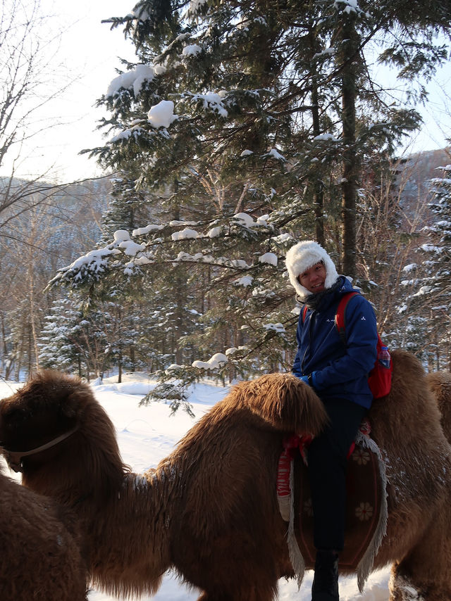 A Camel's Journey Through Snow Valley’s Winter Magic
