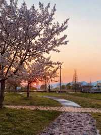 A Perfect Spring Picnic Destination!
