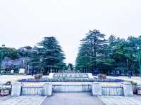 【鶴舞公園】四季を楽しむ！ 桜もバラも絶景の名所