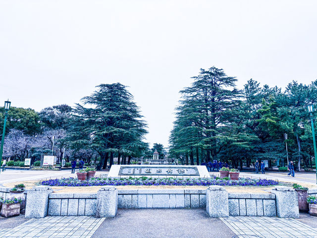 【鶴舞公園】四季を楽しむ！ 桜もバラも絶景の名所