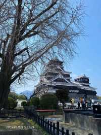 福岡大濠公園和熊本地區