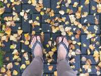 ชิลกลางสายหมอก พักใจกลางธรรมชาติที่ Yuno Lake