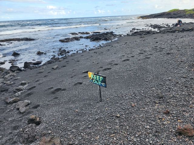 ハワイ島で行くべきビーチ＆絶景ポイント4選！大自然が生み出す驚きの景色