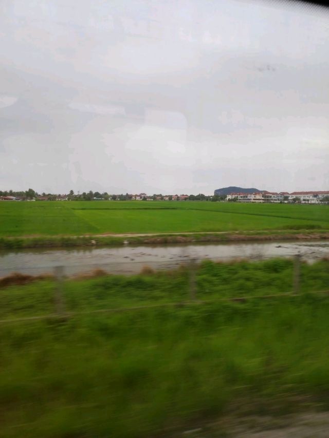 ขึ้นรถไฟไป Alor Setar Malaysia 