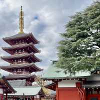 東京晴空塔～淺草一日遊