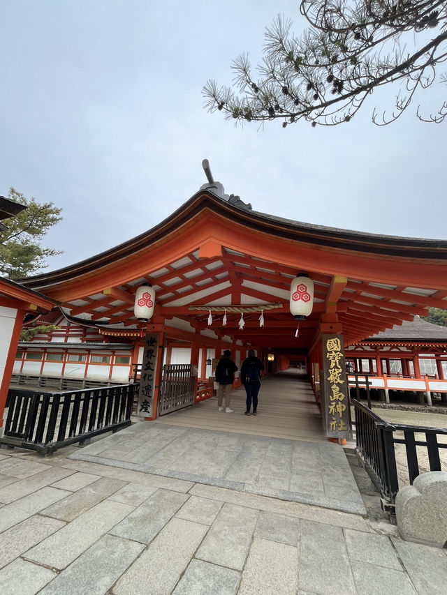 嚴島神社幾時去？潮退還是潮漲？why not both?