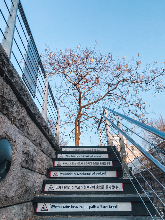One find day at Cheonggyecheon Stream in Seoul 🇰🇷