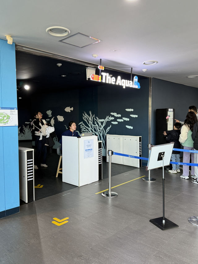 아기랑 서울 근교 여행하기 좋은 아쿠아리움🐟