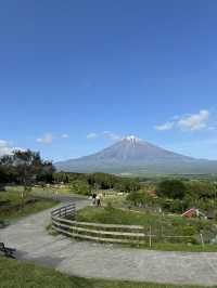 🇯🇵可以影到飛越富士山的童話牧場🐑✨