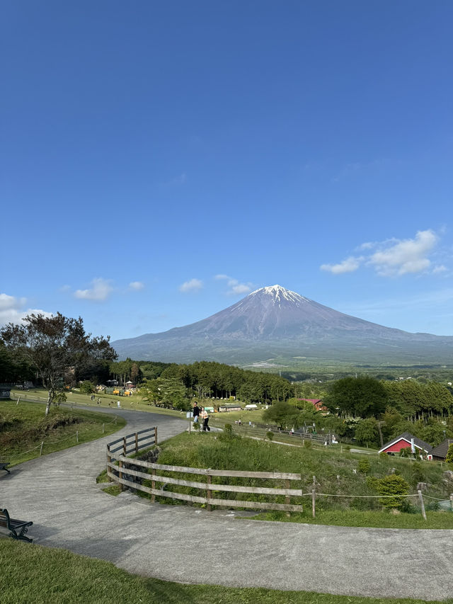 🇯🇵可以影到飛越富士山的童話牧場🐑✨