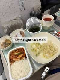 🇰🇷 SEOUL & BUSAN‼️7D6N chill itinerary 🍃