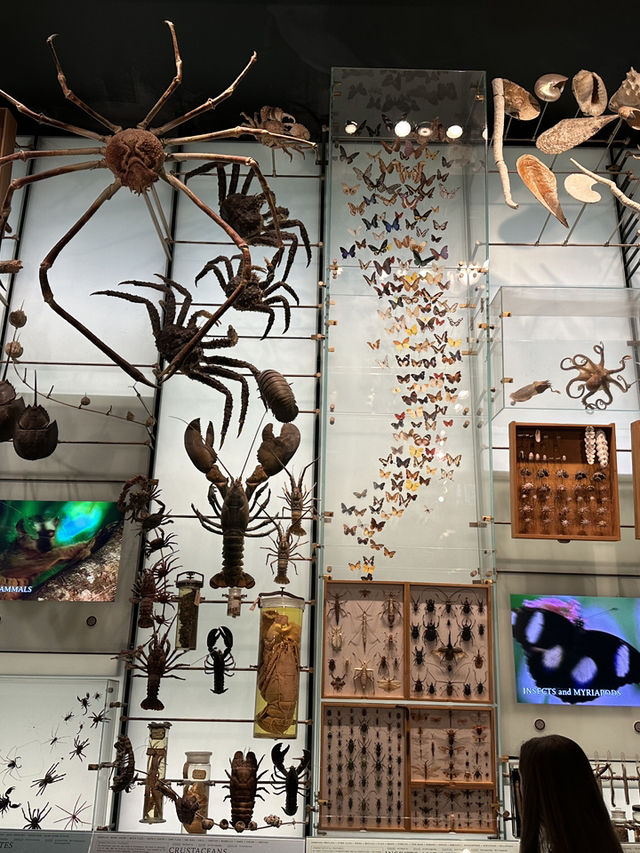 American Museum of Natural History