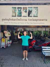 😽😻ศูนย์อนุรักษ์แมวไทยโบราณ😺😸
