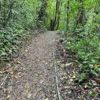 Costa Rica’s Monteverde Cloud Forest – A Lush Eco-Paradise