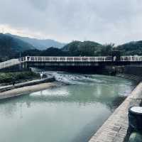 萬里杜鵑花季｜免費賞花好去處，春日漫遊半日遊推薦！