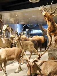 Shanghai Natural History Museum สุดอลังการว้าวสุดๆ