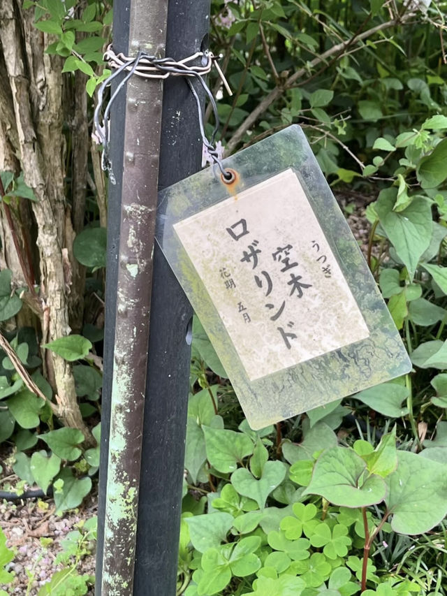 A Flower Lover’s Paradise at Sasaki Shrine