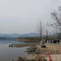 Yangpyeong Dumulmeori – Where Rivers and Blossoms Meet