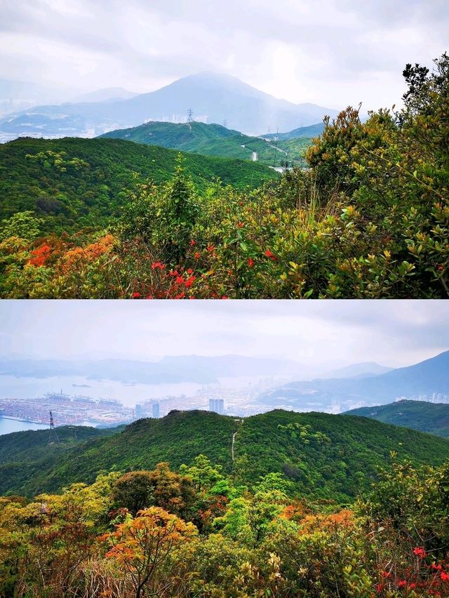 從梅沙尖到雲海公園