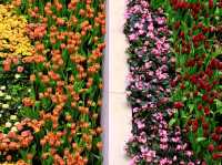 เที่ยวงานดอกไม้ Wondrous Bloom 
