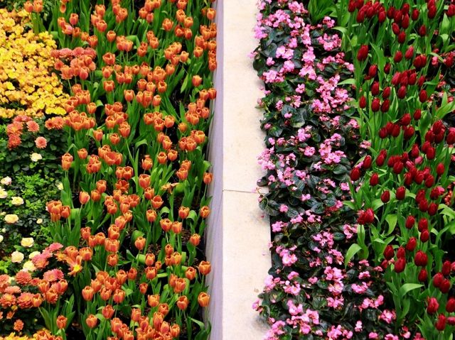 เที่ยวงานดอกไม้ Wondrous Bloom 