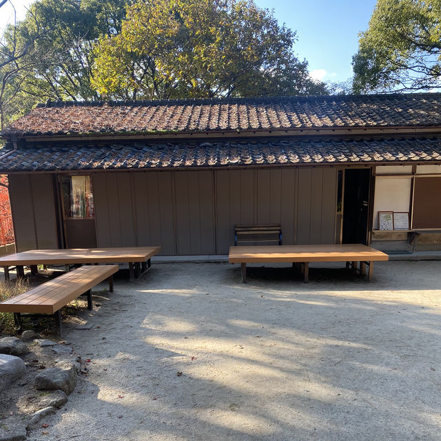【福岡県太宰府市🇯🇵天開稲荷社】九州最古のお稲荷さんへ☺️