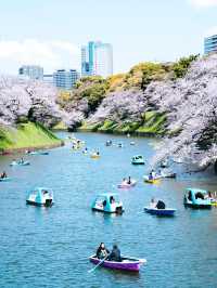 東京春日限定浪漫｜千鳥淵