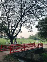 โอเอซิสกลางใจ มช