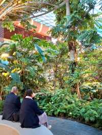 DISCOVER THIS GREEN GEM IN HAMAD INTERNATIONAL AIRPORT