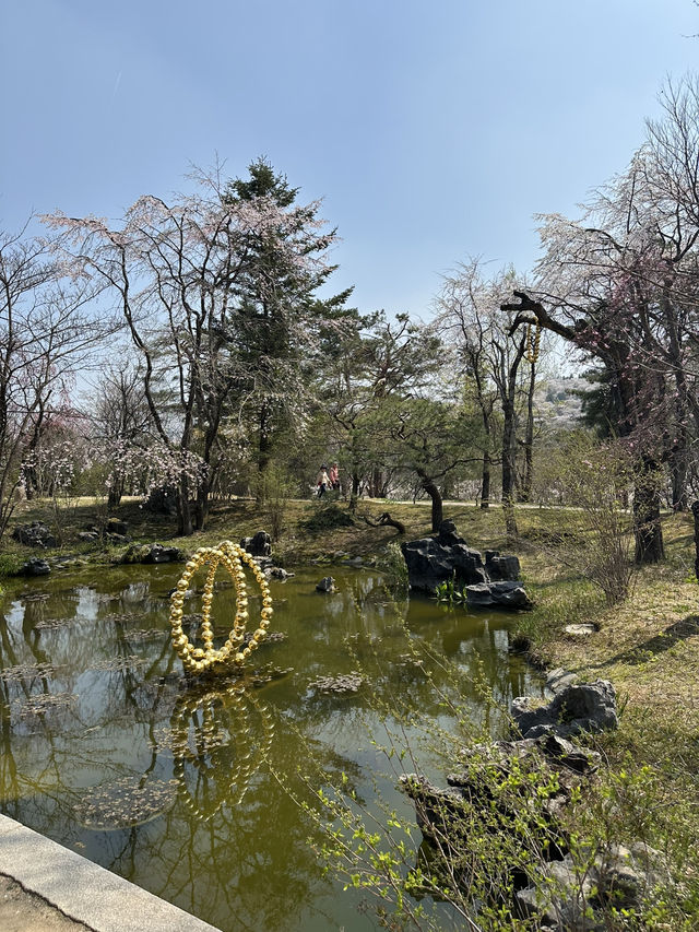 늦봄 나들이 막차🌸 용인 호암미술관 희원