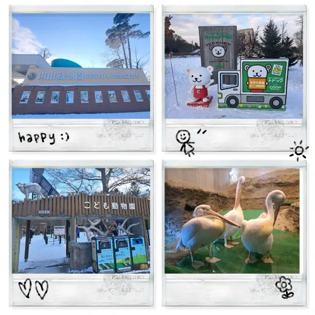 北海道旅遊🥳札幌市円山動物園🥳高質雪景打卡位😊動物種類豐富☺️