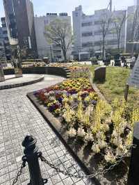 【枚方市】駅すぐ立地最高の広々公園！