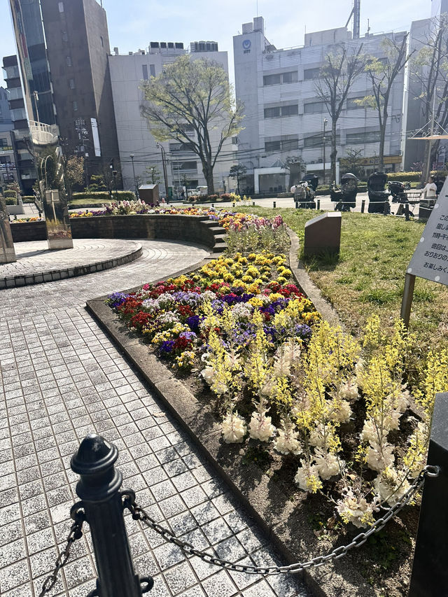 【枚方市】駅すぐ立地最高の広々公園！