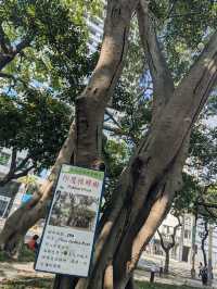 228 Peace Memorial Park