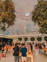 A Whirlwind 3D2N Getaway in Vibrant Singapore