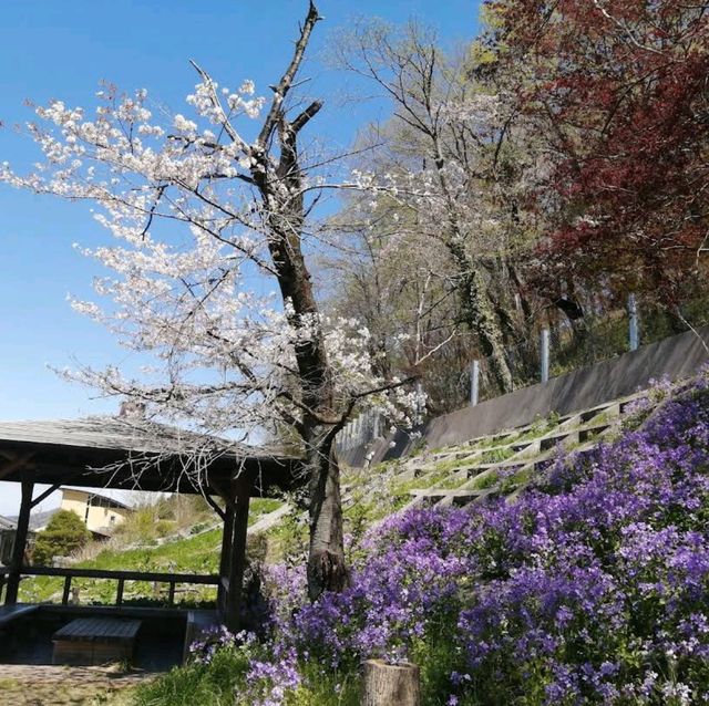 Hitsujiyama Park, Saitama